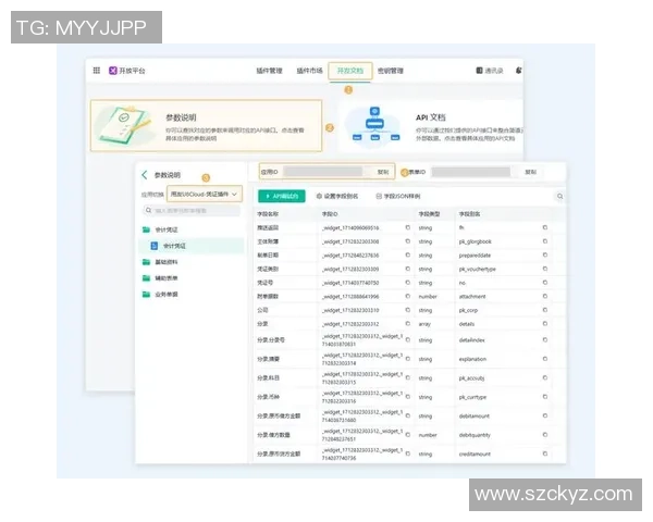 全面解析欧陆平台API管理平台的功能与应用价值