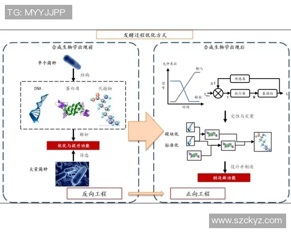 生物电竞的未来探索:融合生物系统与电子竞技的新兴趋势与挑战 生物电竞的未来探索:融合生物系统与电子竞技的新兴趋势与挑战