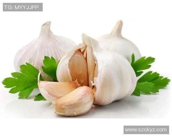 全球大蒜爱好者齐聚加州参加盛大大蒜比赛展现独特风味与文化魅力